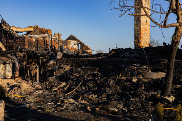 Reliable Content Restoration contractor in Dunedin, FL by Fire Damage Doption